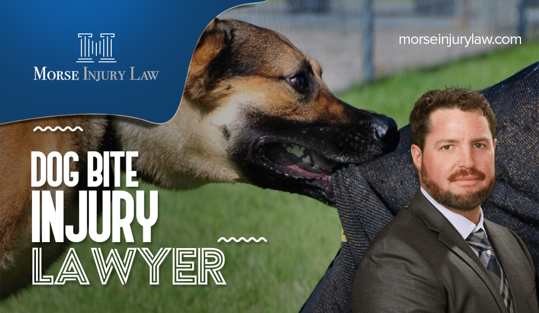 Morse Injury Law is a Dog Bites injury Attorney